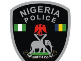 Gbolahan Adebayo, Nigerian Police Warn Against Misuse of Inspector-General’s Name in Fraudulent Activities Abuja, Nigeria – The Nigeria Police Force has issued a stern, How A 20-Year-Old Akeem Sumonu Allegedly Assaulted, Impregnated 16-Year-Old Girl The Ogun State Police Command has confirmed, Police Uncover Theft of ₦43.16 Million in Alleged Currency Smuggling Case The Nigeria Police Force (NPF) has uncovered a shocking