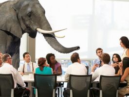 Want Marketing That Resonates? Address The Elephant in the Room Consumers are more informed and discerning than ever in today's fast-paced, hyper-connected world.