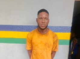 ffective Policing: Nigerian Police Arrest Murder Suspect, Recover Weapons, and Prevent Crime Across Lagos In a decisive move to curb crime and enhance